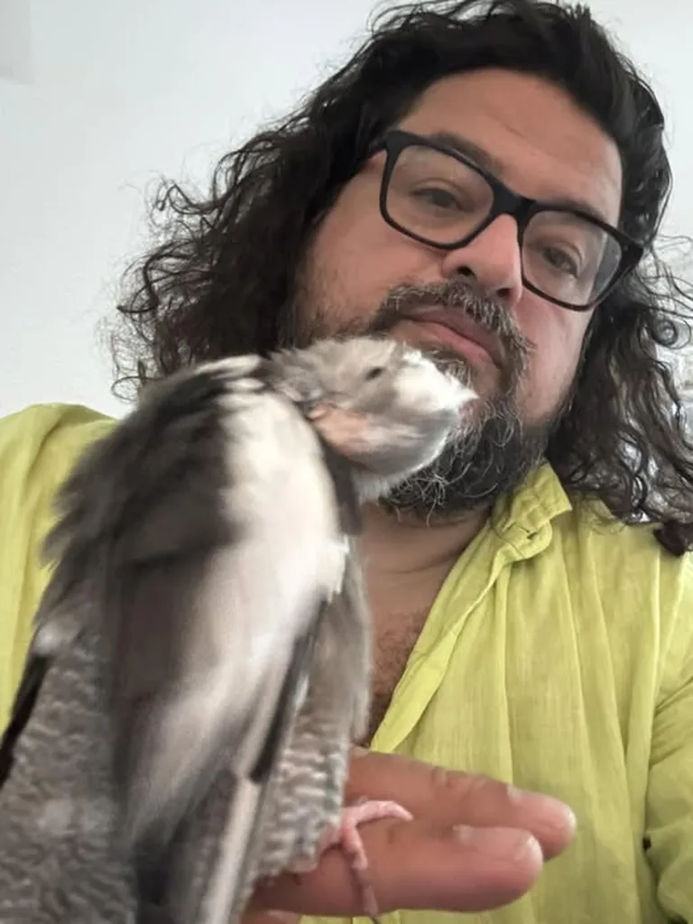 A bird a day