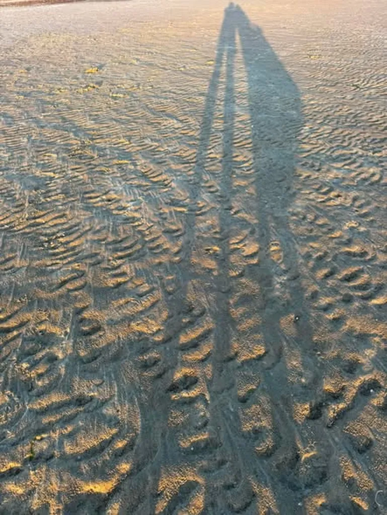 On the beach